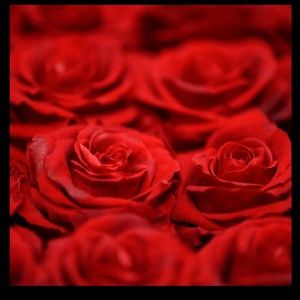 Meet your Posher, Ci